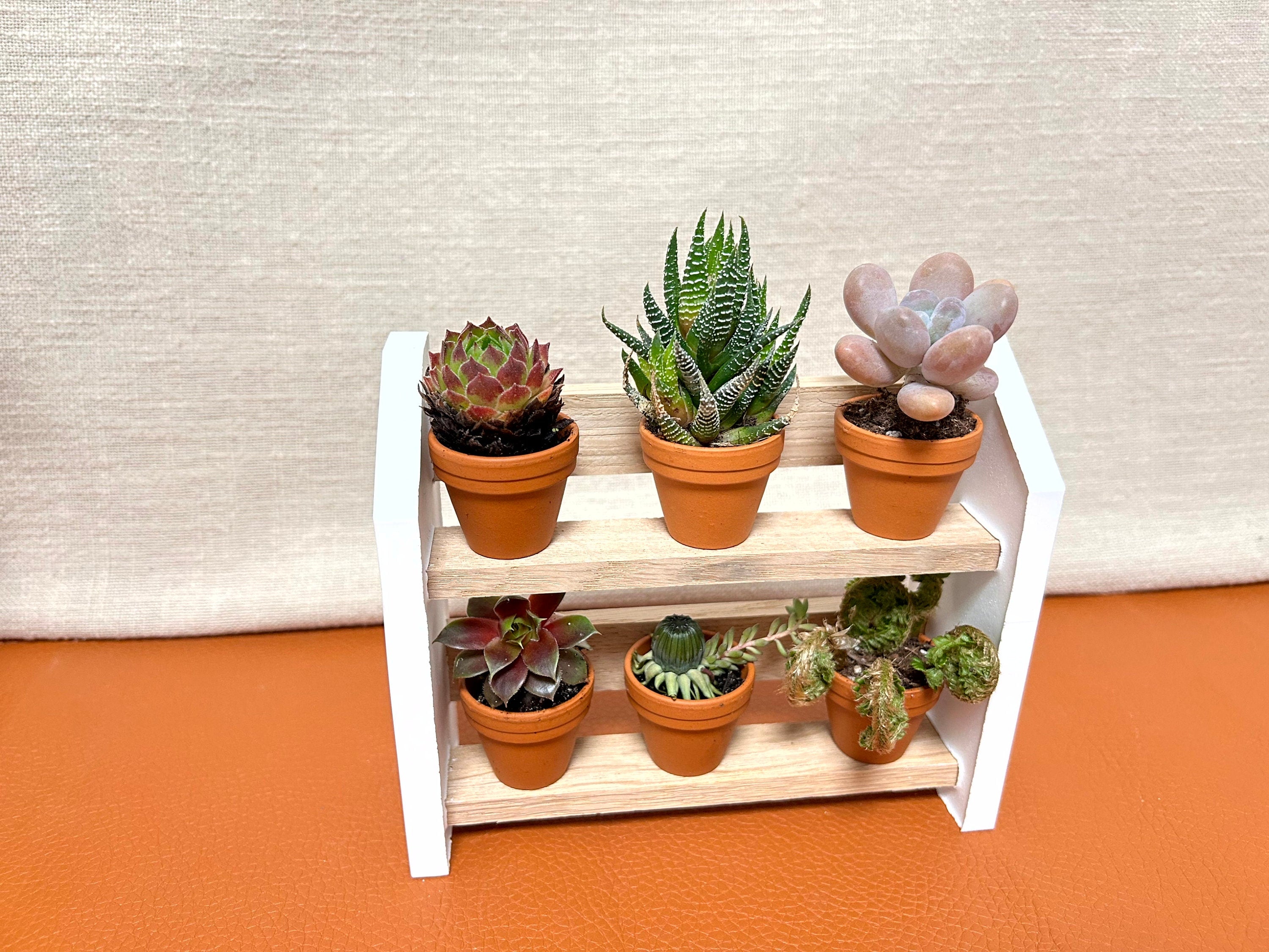 Silikon - Gießform - 2er Regal - - Klötzchen -