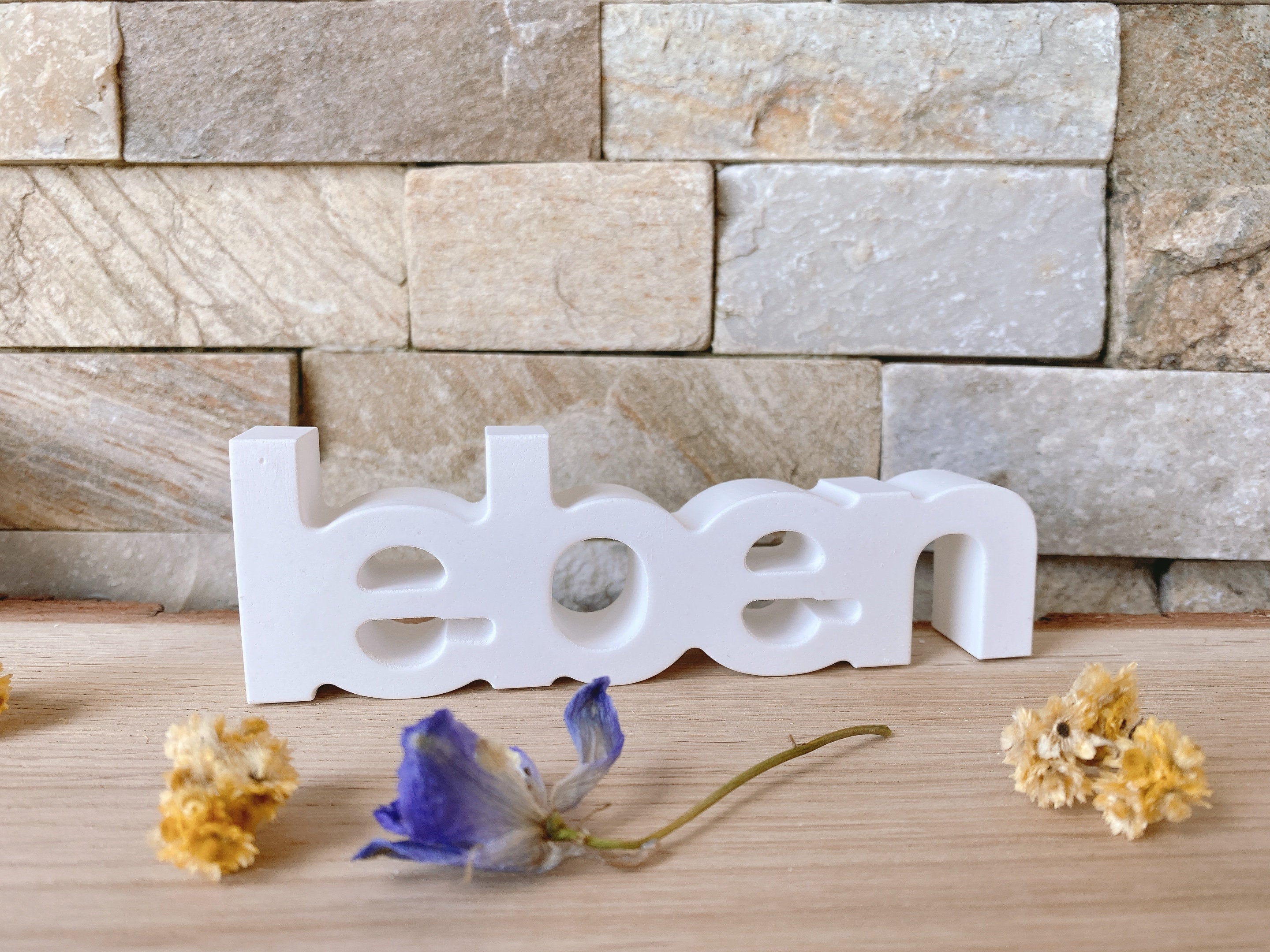 Silikon - Giessform - Leben Schriftzug-