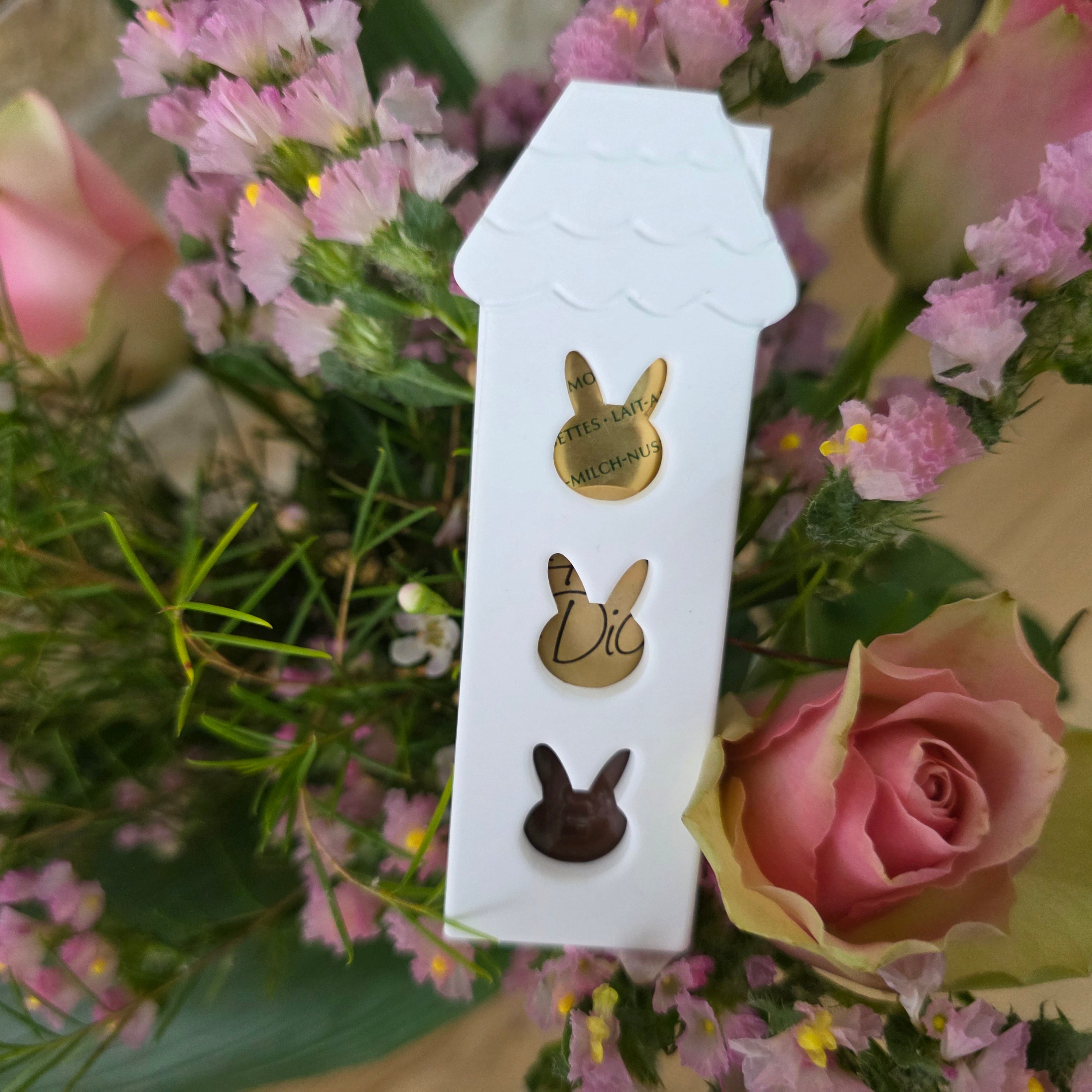 Modularer Schokoladenhalter – Rückteil & Wechselfronten