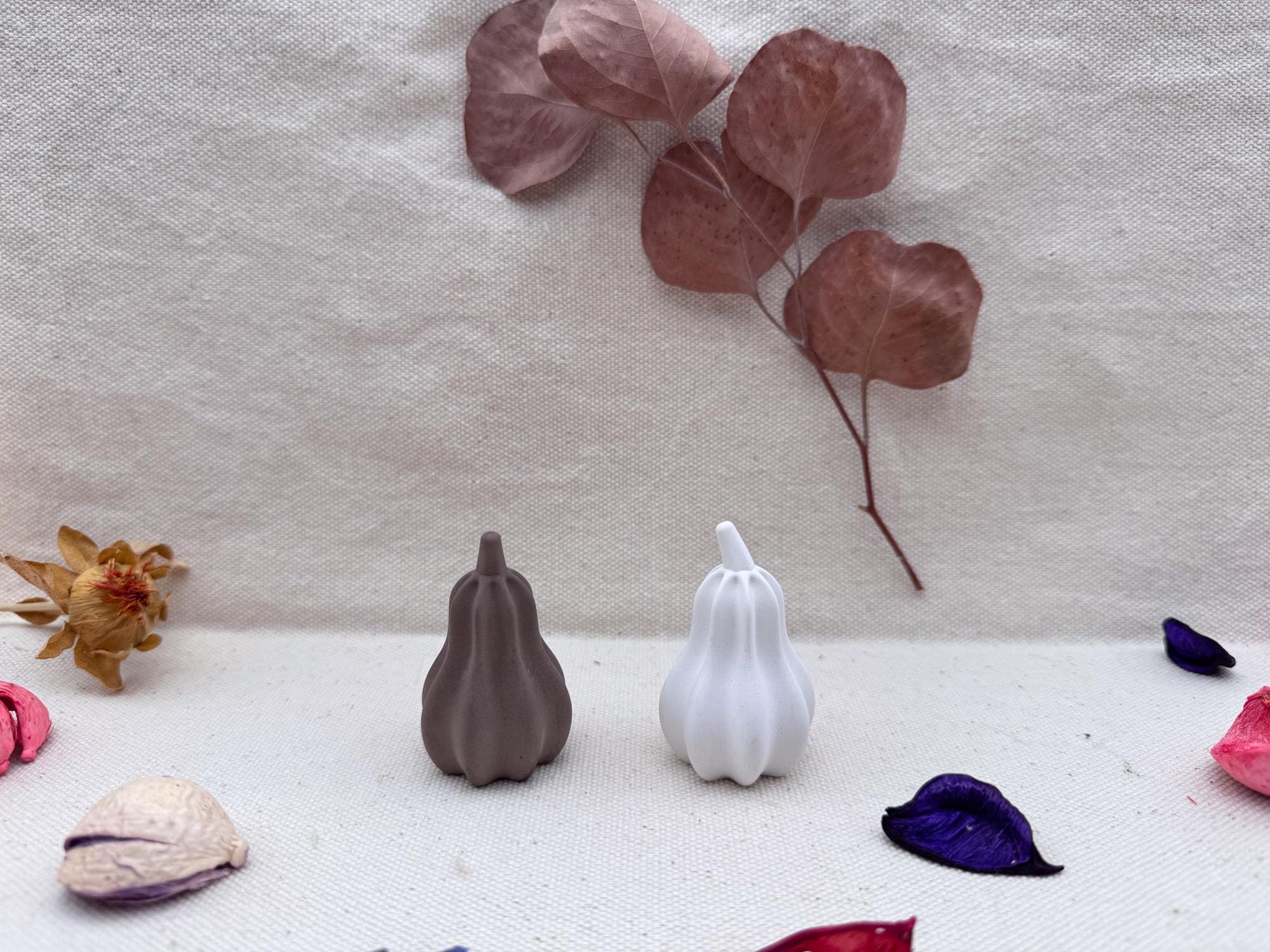 Silikon – Gießform – langer Herbstkürbis -
