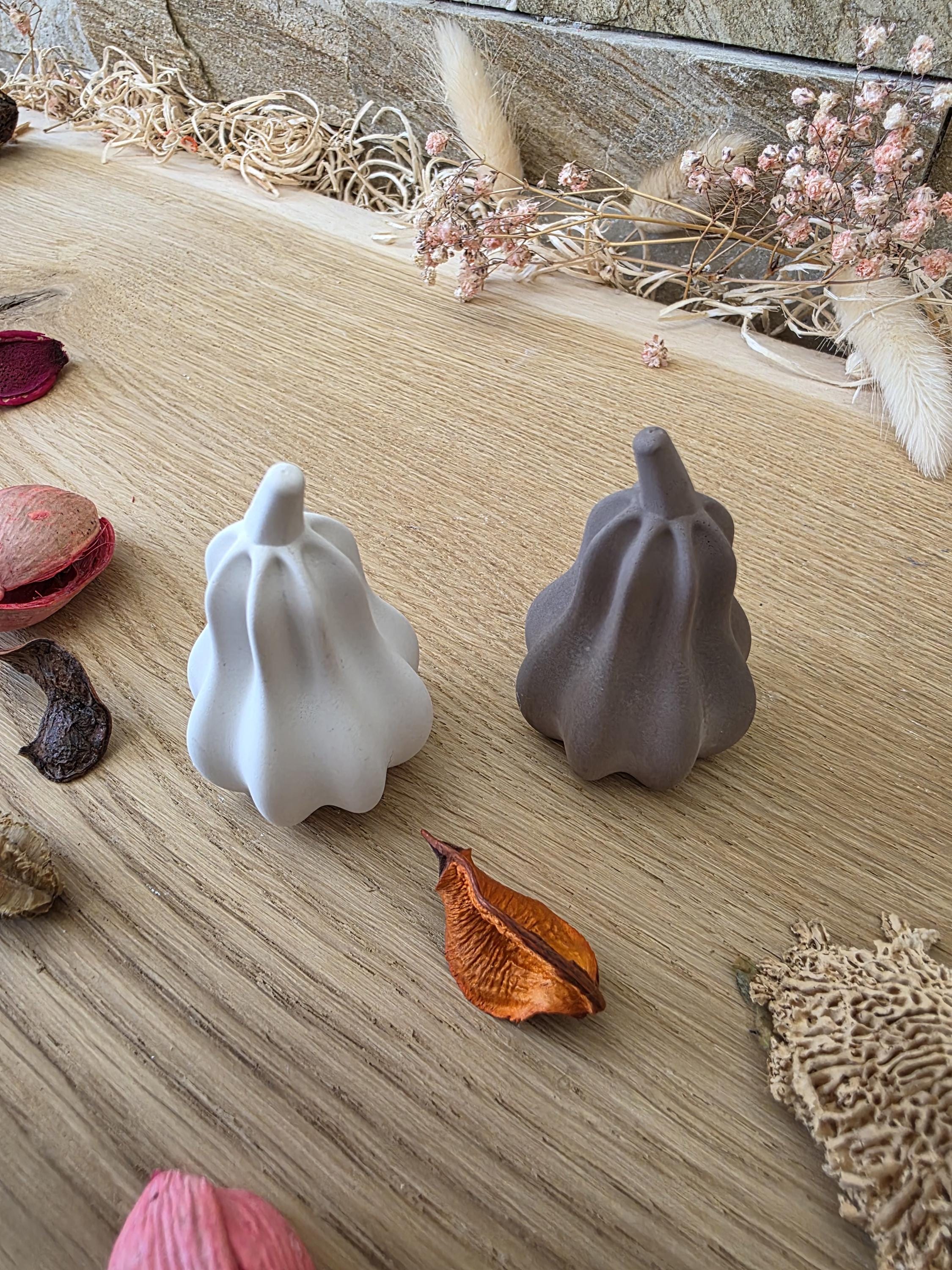 Silikon – Gießform – langer Herbstkürbis -